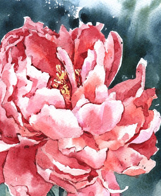 Modern watercolor "Bright red coral peony"  original watercolor illustration