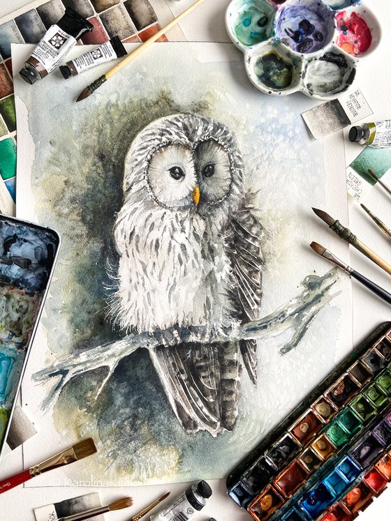 Ural Owl, wildlife, birds watercolours