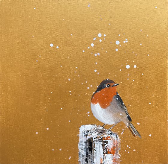 Red Robin in the Snow