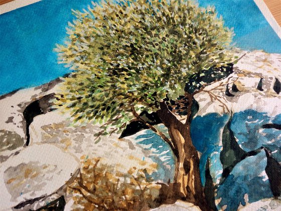 OLIVE TREE II