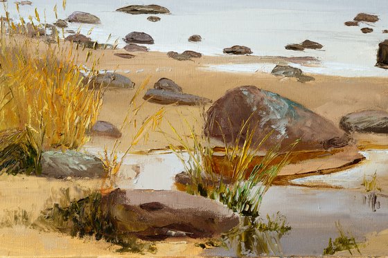 An Autumn Brook