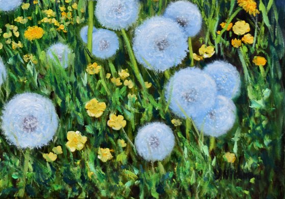 Dandelions