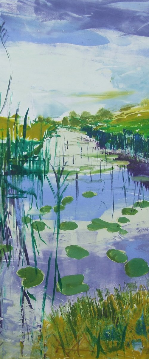 Water lilies by Amanda Averillo