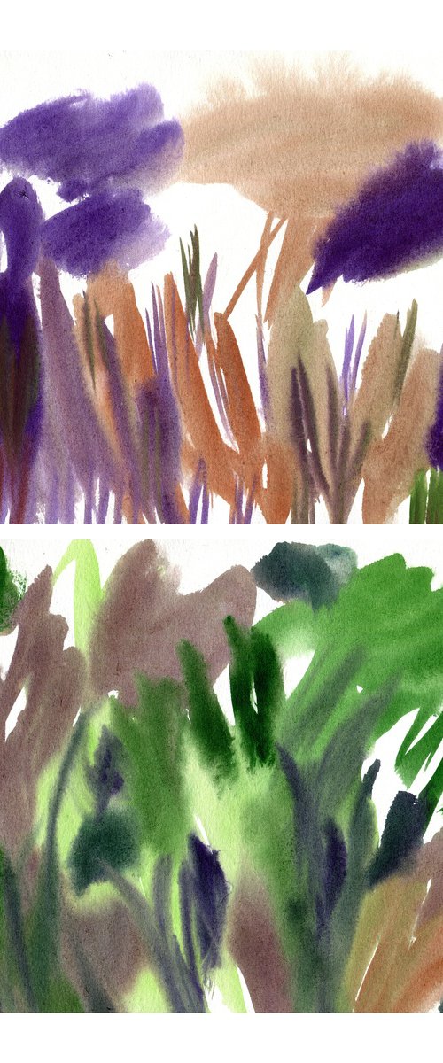 Wild Summer Garden Collection by Elizabeth Anne Fox