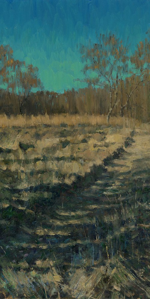 Field Road by Slava Batov