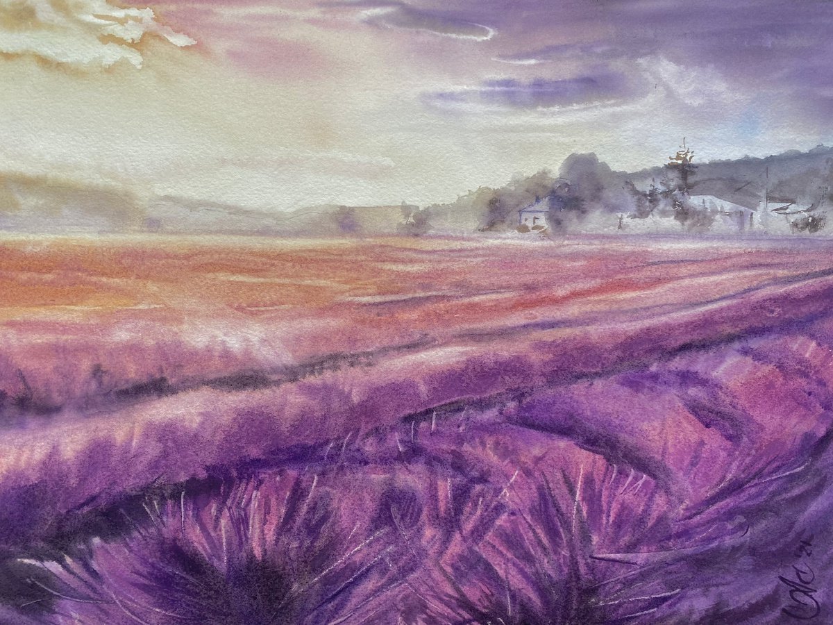 Morning in the Fields of Provence by Alla Semenova