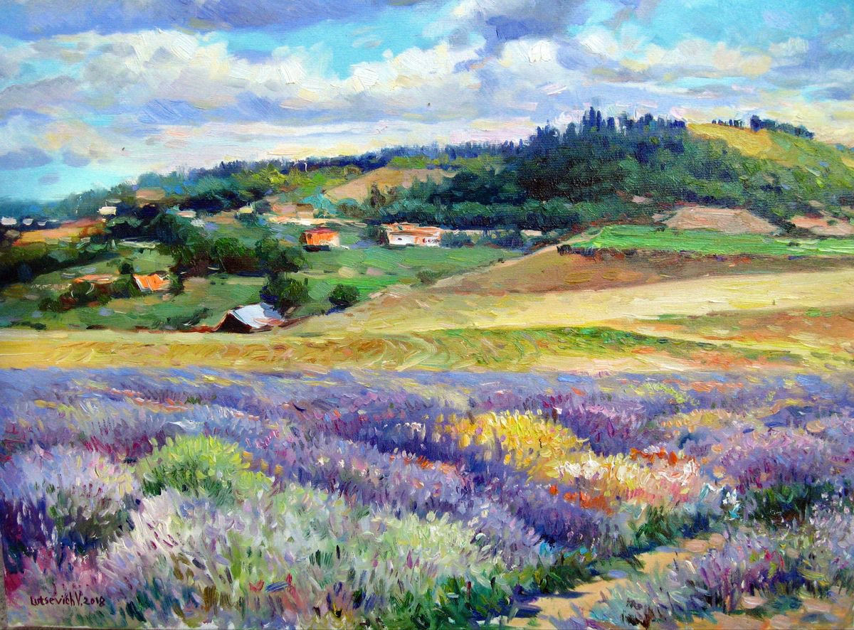Lavender in the field by Vladimir Lutsevich