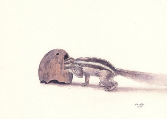 Squirrel and the coconut