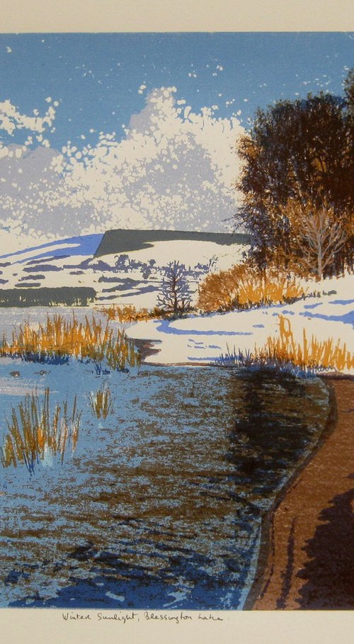 Winter sunrise, Blessington Lake by Aidan Flanagan Irish Landscapes