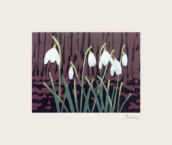 A Promise of Snowdrops