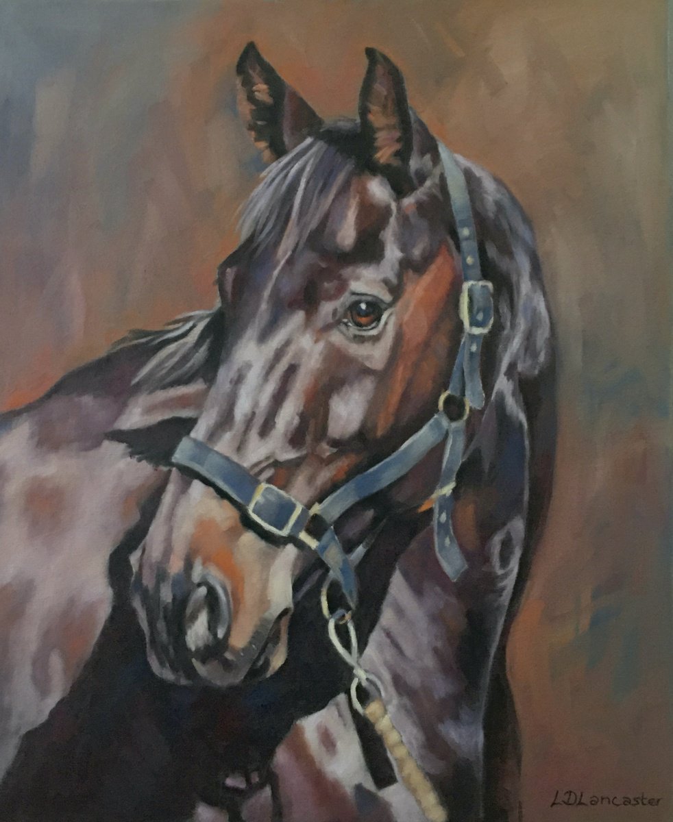 Watchful Dark Bay Horse by Lorna Lancaster ASEA