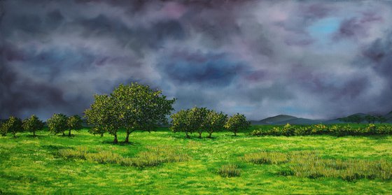 Storm Approaching