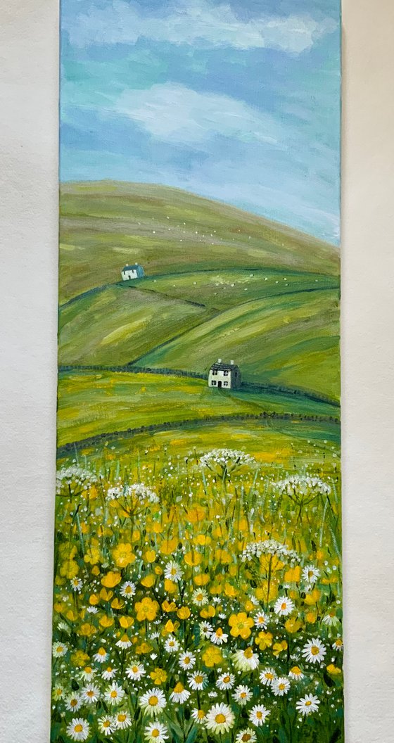 Buttercup Fields, landscape, Yorkshire, dales, countryside