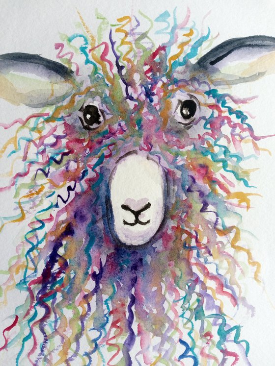 Rainbow Sheep