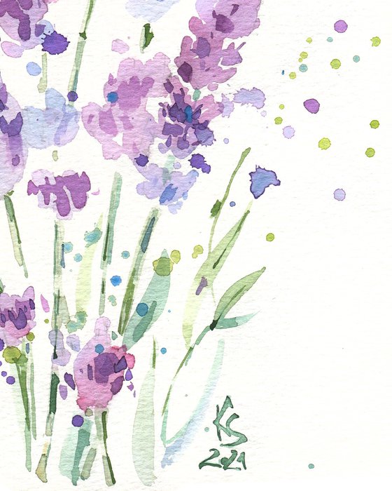 "Lavender sprigs in dotted drops. Expressive sketch" original watercolor illustration