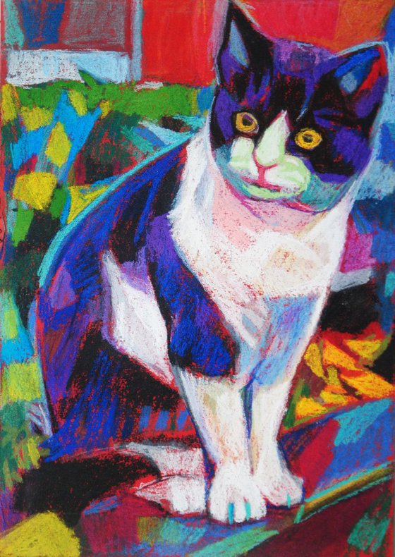 Cat PD / 36 X 25.3 cm