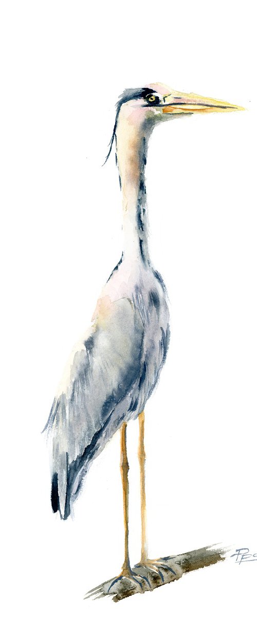 Lonely Heron (1 of 2) by Olga Tchefranov (Shefranov)