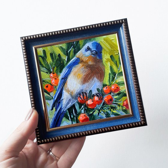 Estern Bluebird painting original oil art framed 4x4, Blue bird small wall art framed