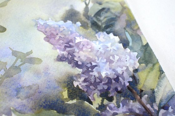 Lilac branch in watercolor