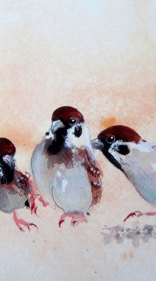 A Gang of Chickadees by Violeta Damjanovic-Behrendt