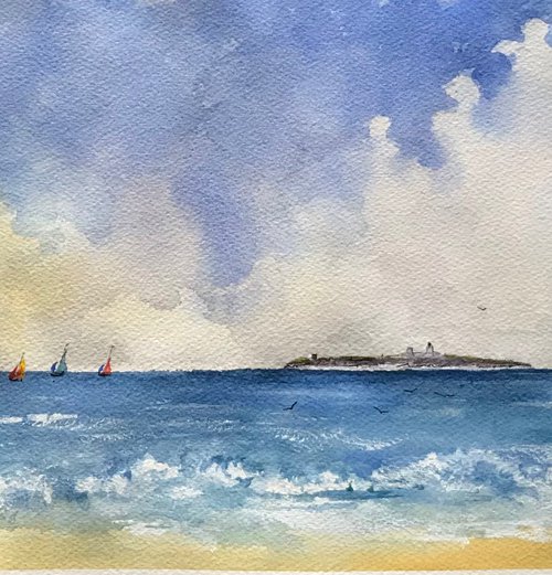 Farne Islands from Seahouses by Brian Tucker