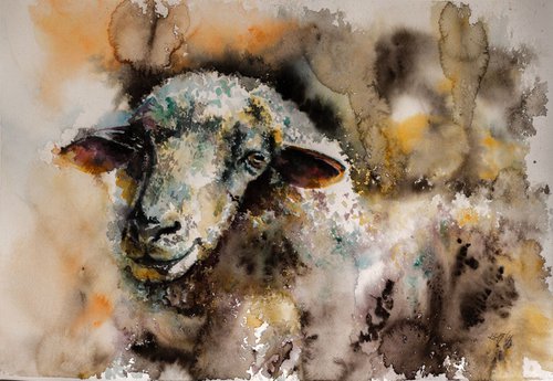 Sheep by Kovács Anna Brigitta