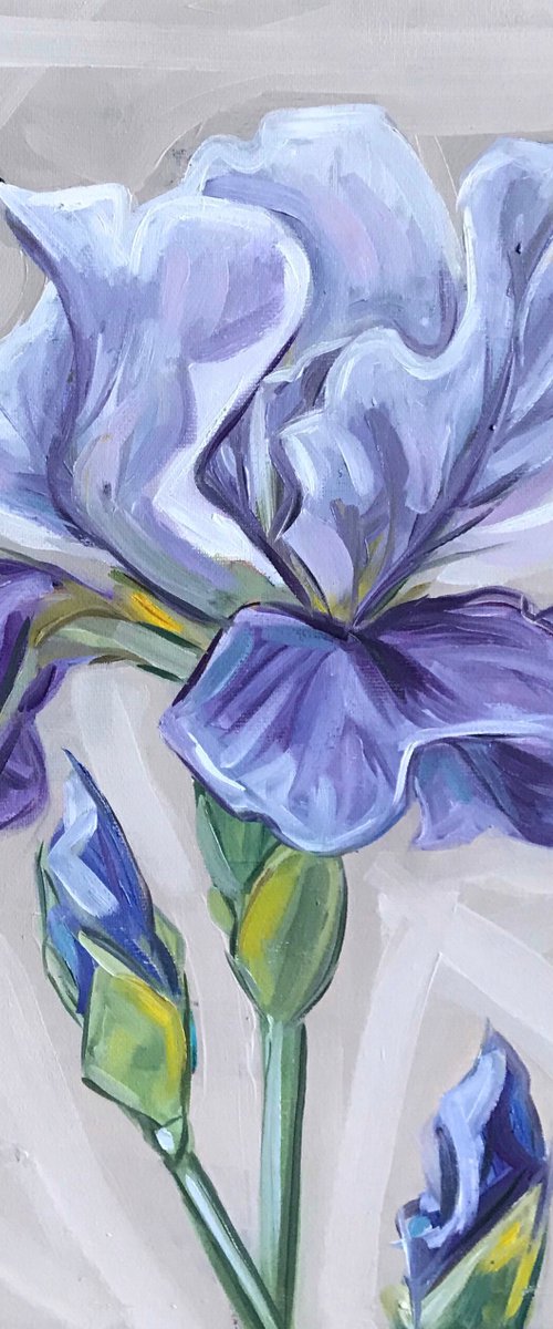 Iris Flower Oil Painting on canvas 28x35cm by Leysan Khasanova
