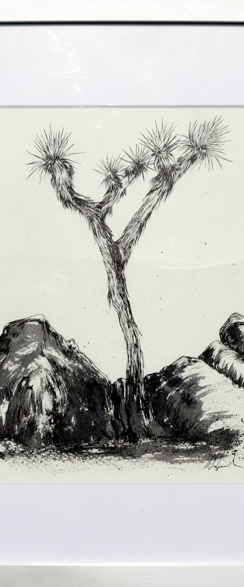 Joshua Tree by Mark Hannah