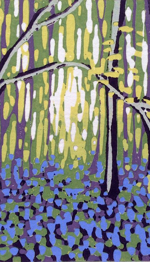 Bluebell Vision by Alexandra Buckle