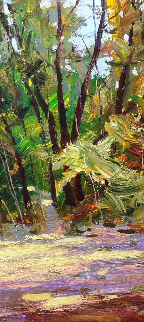 Sunny day by Sergey  Kachin