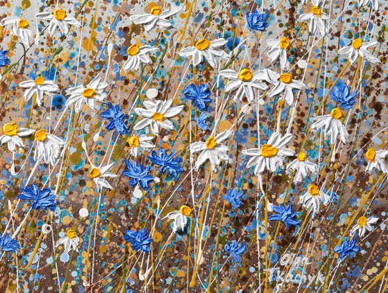 Daisies in September