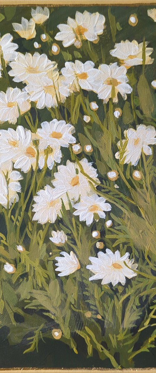 Daisies, "Moments" series by Olha Vlasova
