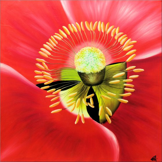 Poppy Core