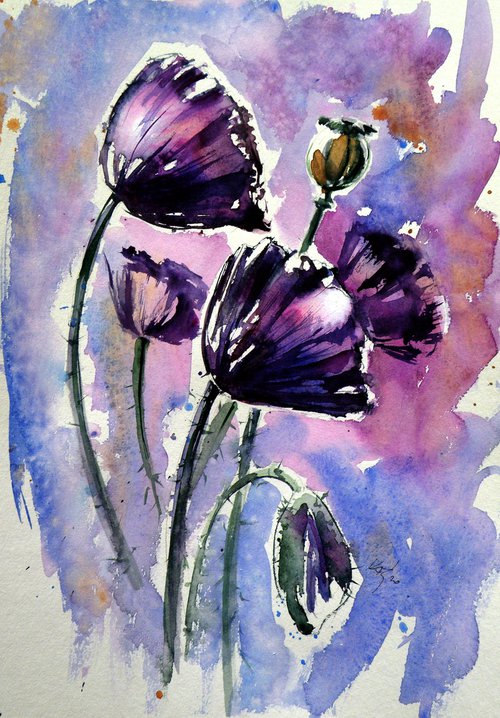 Purple poppies by Kovács Anna Brigitta