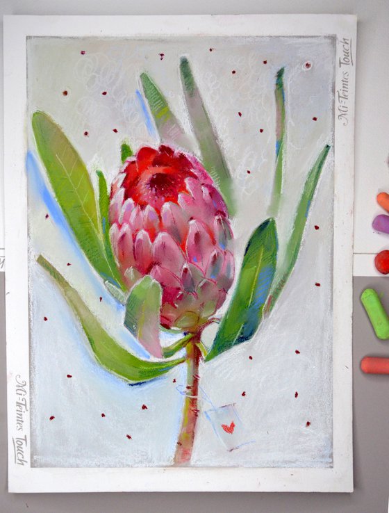 Protea flower