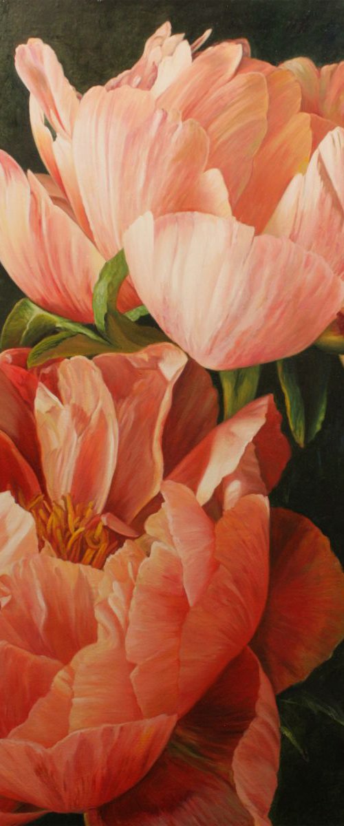 peony by Julia Diven