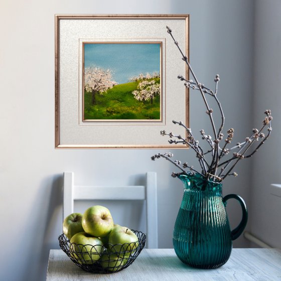 Almond trees in Blossom