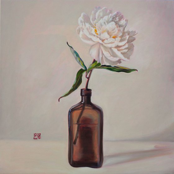 White Peony