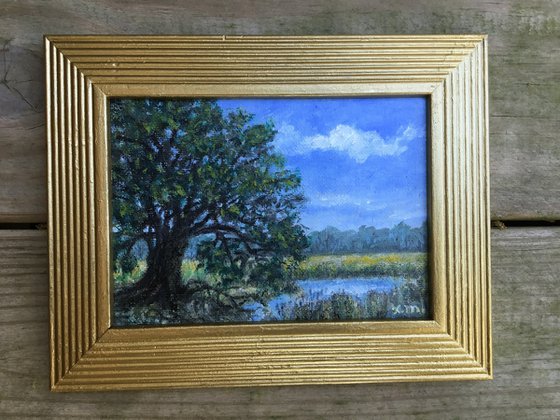 MARSH OAK - oil 5X7 (SOLD)