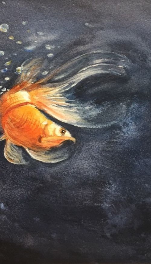 Goldfish by Jing Chen