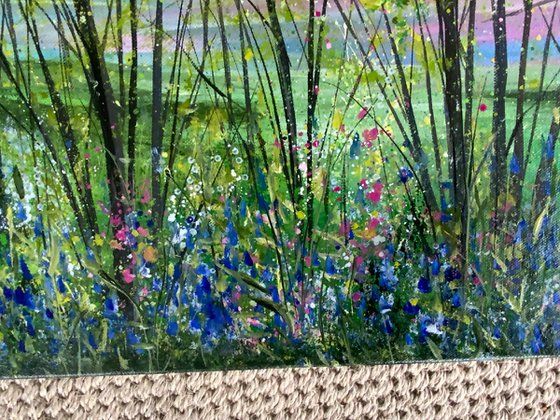 Bluebells at Sunset