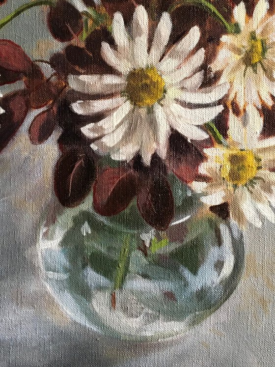 Shasta Daisies