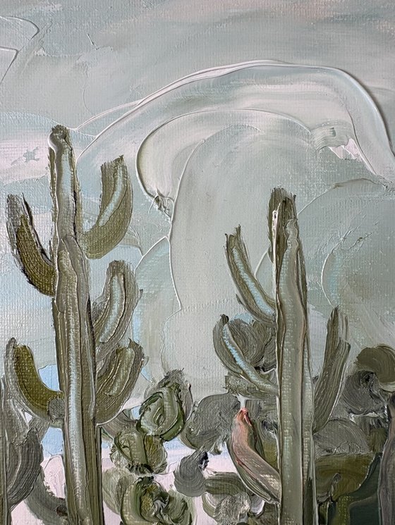 Mallorca swim pool cactus garden house