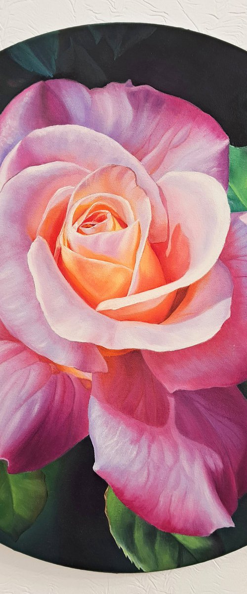 "Beauty in the garden", pink rose painting on round canvas by Anna Steshenko