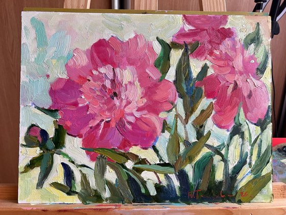 pink peonies