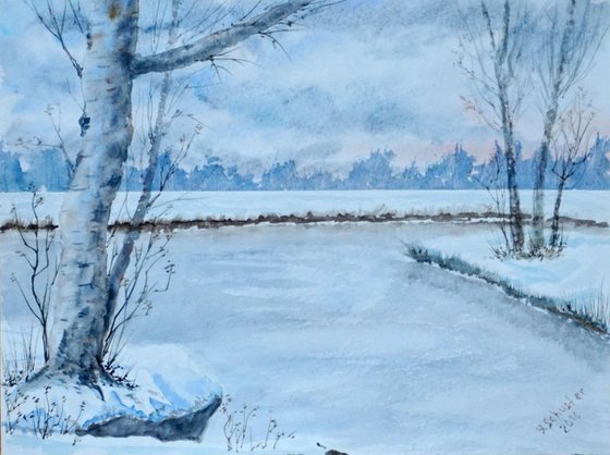 Winter landscape