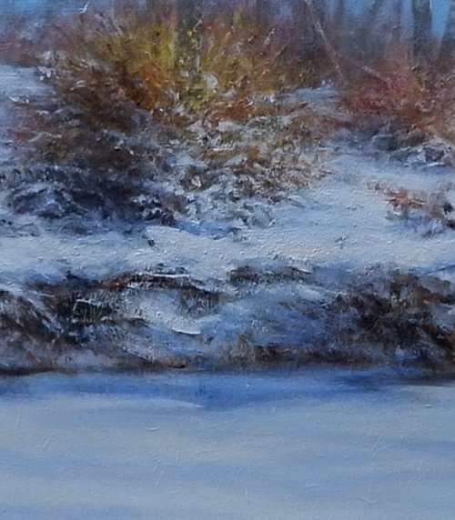 A sunny winters day by Gerard Kramer