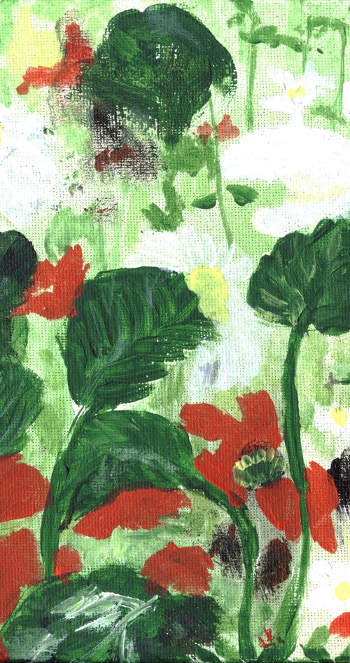 poppies and daises by Sandra Fisher