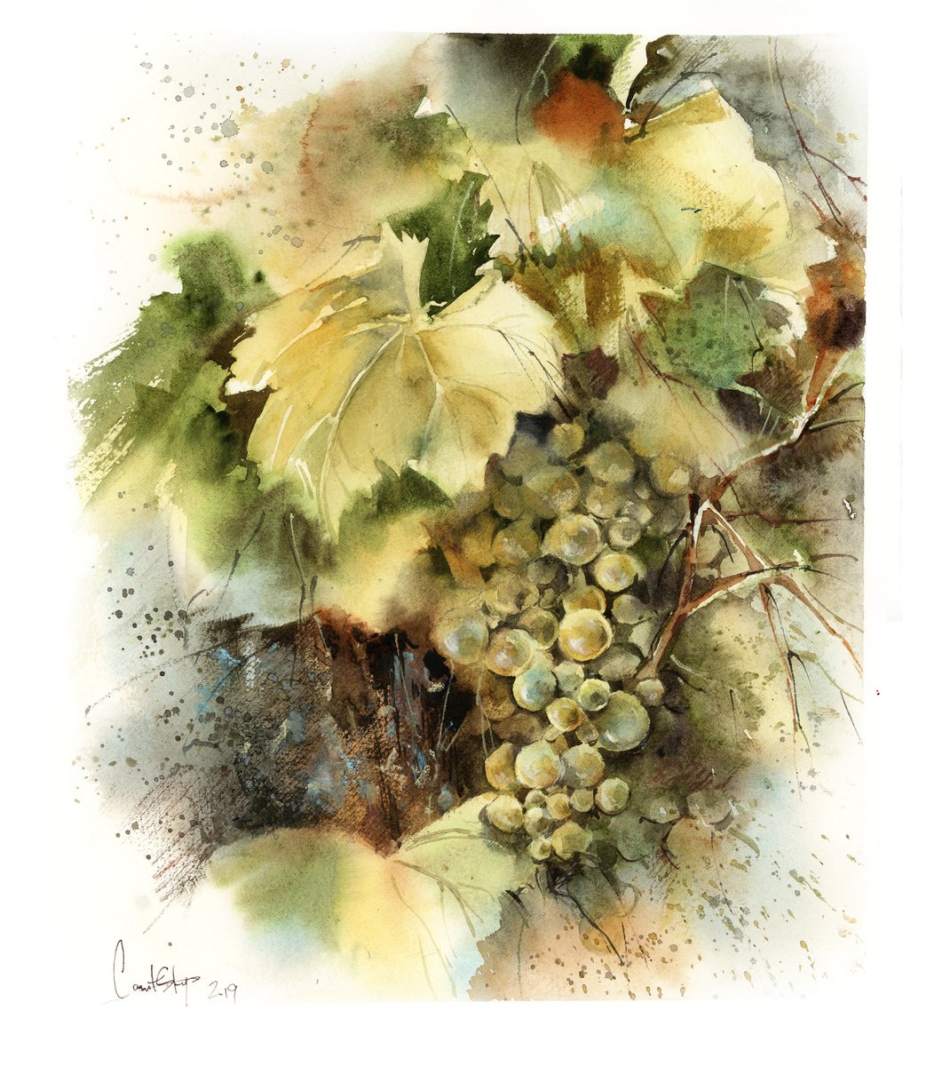 Grapes Original Watercolor Painting by Sophie Rodionov