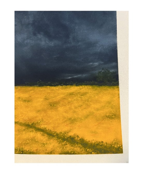 Feld unter Wolken